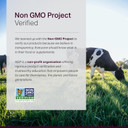 Anew Vita? Policosanol Supplement - Healthy Lipid Levels, Platelet Function & Circulation, Cuban Sourced Sugarcane, 40Mg Per Serving, Non-Gmo, Gluten-Free - 120 Veggie Capsules, Made In Usa