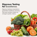 Codeage Grass-Fed Bone Marrow Supplement  Freeze-Dried, Non-Defatted Beef Bone Matrix & Cartilage  1500Mg Per Serving, 180 Capsules