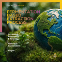 Ideal Infusion Fermentation Based L-Ergothioneine 30Mg: Longevity Vitamin, Antioxidant, Anti-Aging, Heart & Brain Health (60 Servings) Vegan