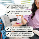 Adapt - Vitamin, Mineral, & Herbal Adrenal Supplement - Gluten Free, Dairy Free, Soy Free - 90 Capsules (90 Servings)