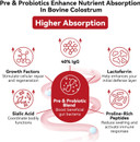 Colostrum Supplement Powder For Gut Health, Immune Support & Nutrient Absorption, Natural 40% Igg Bovine Colostrum With Pre & Probiotics Blend, Unflavored, 60 Servings