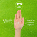 Dim Supplement 300Mg, 240 Caps, 4 Months Supply | Estrogen Balance For Men & Women | Diindolylmethane Plus Black Pepper Extract For Enhanced Absorption | Hormonal & Skin Health Support