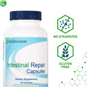 Nutra Biogenesis Intestinal Repair Capsules - Herbal Gut Health Supplement For Women & Men With Sodium Butyrate, Daily - 120 Capsules