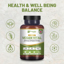 Vegan Vital Multivitamins And Minerals | 120 Vegan Multivitamin Capsule | Calcium, Vitamin B12, Vitamin B2, Vitamin D3, Selenium, Iodine, Zinc & Iron | By Prowise Healthcare