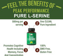 Peak Performance L-Serine Capsules 500Mg Best Brain And Nootropic Amino Acids For Production Of L-Cystine, L-Tryptophan And Serotonin. Usa Grade L Serine Pills. Non-Gmo Supplement (60 Servings)