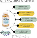 Sea Moss Gummies | Only 3 Ingredients | Vegan | Premium Organic Ingredients | Gluten Free | Sea Moss Gummy
