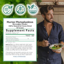 Holistic Bin Marine Phytoplankton Powder  Sustainably Cultivated In Nordic Green Water Farm  Nutrient-Dense Omega-3 Superfood  Rich In Amino Acids, Chlorophyll, Vitamins & Trace Minerals  50 Grams Holistic Bin Marine Phytoplankton Powder  Sustainably Cultivated In Nordic Green Water Farm  Nutrient-Dense Omega-3 Superfood  Rich In Amino Acids, Chlorophyll, Vitamins & Trace Minerals  50 Grams
