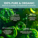 Holistic Bin Marine Phytoplankton Powder  Sustainably Cultivated In Nordic Green Water Farm  Nutrient-Dense Omega-3 Superfood  Rich In Amino Acids, Chlorophyll, Vitamins & Trace Minerals  50 Grams Holistic Bin Marine Phytoplankton Powder  Sustainably Cultivated In Nordic Green Water Farm  Nutrient-Dense Omega-3 Superfood  Rich In Amino Acids, Chlorophyll, Vitamins & Trace Minerals  50 Grams