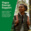 Floradix Floravital Liquid Iron & Vitamins Formula - Liquid Iron Supplement With B Complex Vitamins, Vitamin C & Herbs For Energy Support* - Vegan, Gluten-Free, Yeast- Free, Non-Gmo - 16.9 Fl Oz