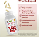 Andrew Lessman Iron Plus 180 Capsules - 18Mg Iron, 100% Pure Amino Acid Chelated Iron (Glycinate, Aspartate), Plus Vitamin C For Increased Absorption, Small, Easy To Swallow Capsules, No Additives