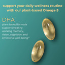 Iwi Dha Omega-3, 60 Softgels (30 Servings), Plant-Based Algae Omega 3, Brain, Eyes & Nervous System Support Dietary Supplement, Krill & Fish Oil Alternative, No Fishy Aftertaste