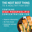 Kori Krill Oil Omega 3 Supplement, Antarctic Krill Oil With Superior Absorption Vs Fish Oil Alternative, 400 Mg Softgels, 90 Softgels, Epa & Dha