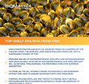Support Omega (120 Gel Capsules) Omega 3 Fish Oil Supplement - Cardiovascular, Musculoskeletal Support Support Omega (120 Gel Capsules) Omega 3 Fish Oil Supplement - Cardiovascular, Musculoskeletal Support