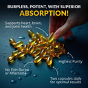 Wild Foods Fish Oil Omega 3 Supplements | 1600 Mg | Highly-Potent: Dpa, Dha, Epa | Burpless, Odorless, Non-Gmo, Gluten Free | For Brain & Heart Health, Joint Support | 60 Capsules (1 Pk) | 30 Servings