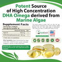 Algal Oil - Vegan Dha Omega 3 Fish Oil Supplements - Brain Booster,Supplement & Prenatal Vitamin -Provides Healthy Heart & Immune Support - Burpless Algae Supplement - 60 Mini Fish Softgels