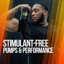 Alpha Lion Superhuman Pump Pre Workout Powder, Caffeine Free & Stim Free Preworkout Supplement, Nitric Oxide Booster, Muscle Gainer, Energy & Focus (42 Servings, Muscle Melon Flavor)