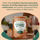 Four Sigmatic Organic Plant-Based Protein Powder Peanut Butter Protein With LionS Mane, Chaga, Cordyceps And More | Clean Vegan Protein Elevated For Brain Function And Immune Support | 21.16 Oz