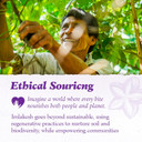 Imlakesh Organics Sacha Inchi Protein, Powder (12Oz Metal Jar)