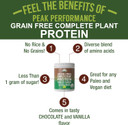Organic Paleo Grain Free Plant Based Raw Vegan Protein Powder. Amazing Amino Acid Profile And Less Than 1G Of Sugar. With Hemp And Pea Protein Chocolate Flavored