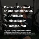 True Nutrition - Whey Protein Concentrate - 100% Whey Protein Powder - Fast Acting Low Carb Protein Powder With Essential Amino Acids - High In Leucine - French Vanilla - 2Lb