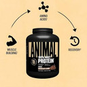 Animal 100% Whey Protein Powder  Whey Blend For Pre Workout Or Post Workout, Recovery, Or An Anytime Low Sugar Protein Boost Meal Replacement With Bcaa Branched Chain Amino Acids  Vanilla, 4 Lb