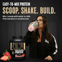 Animal Whey Isolate Protein Powder - Loaded For Pre & Post Workout Muscle Builder And Recovery With Digestive Enzymes For Men & Women - 25G Protein, Great Taste, Low Sugar - Strawberry 4 Lbs