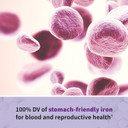 Garden Of Life Prenatal Multivitamin For Women With Iron, Folate & Vitamin C And D3 For Neural Development & Probiotics For Immune Support  Vitamin Code  Non-Gmo, Gluten-Free, Kosher, 10 Day Supply