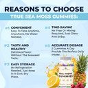 Irish Sea Moss Gummies With Burdock Root & Bladderwrack - Vegan Seamoss Supplement For Women, Men & Kids, Non-Gmo, 60 Sea Moss Gummies