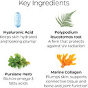 Hush & Hush Timecapsule Multivitamin, Women'S Multivitamin, Men'S Multivitamin, Clean Nutraceuticals Supplements That Contains Hyaluronic Acid, Vitamin C, Zinc, Vitamin B12, Vitamin E - 60 Tablets