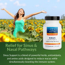 Equilife - Sinus Support, With Berberin & Licorice Root To Help Promote Nasal Congestion, Mucus Relief, And Sinus Relief, Rich With Antioxidants And Amino Acids, Gluten-Free (20 Servings)