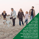 Health Thru Nutrition Acetyl L-Carnitine 500Mg 60 Capsules | Supports Cognition & Mental Function | Memory & Attention | Non-Gmo, 3Rd Party Tested, Hypoallergenic, Gluten Free, Soy Free, Vegan