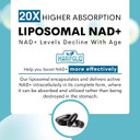 Liposomal Nad+ Supplement 1000 Mg | Highest Nad Pontecy | Max Absorption | Pure Nad Supplement | Energy And Dna Repair, Aging Defense, Brain Function | 60 Softgels
