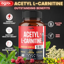 Acetyl L-Carnitine Supplement - 2600Mg 3 Months - Blended With Alpha Lipoic Acid, Green Tea, Green Coffee Bean & Raspberry Ketones - Memory & Brain Health Support, Non-Gmo - 90 Vegan Capsules