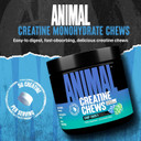 Animal Creatine Chews  Enhanced Creatine Monohydrate Chewable Tablets With Astragin & Sea Salt, Max Absorption Pre Post-Workout, Lean Muscle Growth, Strength & Recovery, New Flavor Candy CrushD