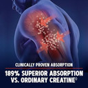 Gnc Amp Creatine Hcl 189 | Targeted Muscle Builder And Recovery Supplement | Fast Absorbing Performance Blend | 480 Count