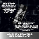 Muscletech Platinum Creatine Monohydrate Capsules - Creapure Creatine Pre & Post Workout Muscle Builder, Muscle Recovery & Energy Boosting Supplement For Men & Women - 100 Veggie Pills