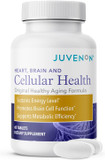 Juvenon Cellular Health | Heart, Brain Supplement With Acetyl L-Carnitine And Biotin - Supports Nad+ Function, Energy Production, Mood, Revitalized Metabolism, Mental Focus & Clarity (90 Capsules)