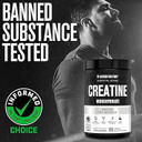 Jacked Factory Creatine Monohydrate Powder 150G - Creatine Supplement For Muscle Growth, Increased Strength, Enhanced Energy, & Improved Athletic Performance 30 Servings, Unflavored