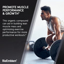 Bioemblem Creatine Monohydrate Powder  Micronized, Unflavored, 5000Mg Per Serving(5G)  Supports Muscle Strength, Workout Recovery & Performance Creatine Supplement Vegan, Non-Gmo, 60 Servings