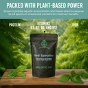 Holistic Bin Organic Astaxanthin Powder | Powerful Natural Antioxidant Supplement For Smoothies And Capsules | Whole Haematococcus Pluvialis Algae Supplement (20 Grams)