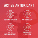 Purus Labs Organ Shield Active Antioxidant | Plant Based Antioxidants | 30 Servings, 60 Gelatin Capsules