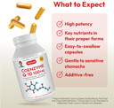 Andrew Lessman Coenzyme Q-10 300 Mg 30 Capsules - Essential For Energy Production And Optimum Key Organ Function, Anti-Oxidant Support, Depleted By Aging, Plus B-Complex. Easy To Swallow Capsules