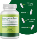 Bestvite Pycnogenol 100Mg (120 Capsules) (60X2) - French Maritime Pine Bark Extract - No Stearates - Gluten Free - Non Gmo