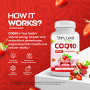 Shiny Leaf Coq10 100Mg - Chewable Coq10 Supplement - Coenzyme Q10 For Heart Health & Energy - Natural Co Q 10 Supplement For Cardiovascular Wellness - 100Mg Chewable Tablets, 90 Tablets, Made In Usa