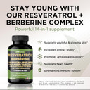 Gade Nutrition Resveratrol Berberine Quercetin Grape Seed Extract Green Tea Extract N-Acetyl Cysteine - 14 In 1 Complex Supplement For Women & Men With Potent Antioxidants - Made In Usa