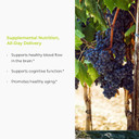 Resveratrol Supplement  Grape Skin Extract - 100Mg Trans-Resveratrol Antioxidant - 150 Tablets - Promotes Anti-Aging & Cardiovascular Support Company