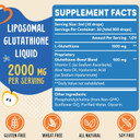 2000Mg Liposomal Glutathione Liquid, 98% Absorption, Glutathione Liquid Supplement, Active Form L- Glutathione, Powerful Antioxidant Complex For Immune System, Aging Defense, Detox, 4 Fl.Oz 2000Mg Liposomal Glutathione Liquid, 98% Absorption, Glutathione Liquid Supplement, Active Form L- Glutathione, Powerful Antioxidant Complex For Immune System, Aging Defense, Detox, 4 Fl.Oz