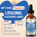 2000Mg Liposomal Glutathione Liquid, 98% Absorption, Glutathione Liquid Supplement, Active Form L- Glutathione, Powerful Antioxidant Complex For Immune System, Aging Defense, Detox, 4 Fl.Oz 2000Mg Liposomal Glutathione Liquid, 98% Absorption, Glutathione Liquid Supplement, Active Form L- Glutathione, Powerful Antioxidant Complex For Immune System, Aging Defense, Detox, 4 Fl.Oz