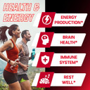 Nad+ Supplement 500Mg - Pure Nad Supplement - Combined To Fisetin, Tmg, Resveratrol And Quercetin - Energy And Dna Repair, Aging Defense, Brain Function - 60 Capsules