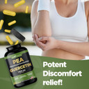 Gade Nutrition Palmitoylethanolamide Pea Supplement 800 Mg With Quercetin 200 Mg | Micronized Pea 99% Highly Purified And 95% Quercetin Bioavailable | Made In Usa | Supplement For Men And Women